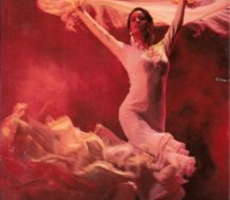 Suzanne Mendieta - Flamenco